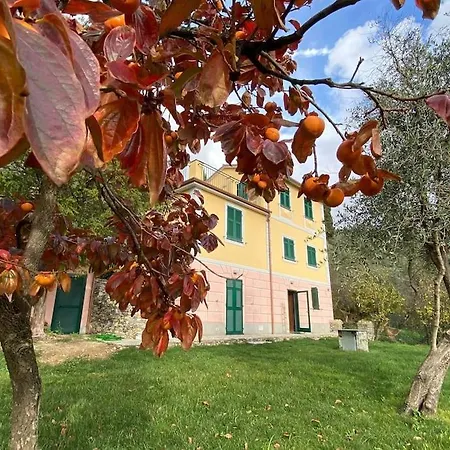 Casa Faveto, New On Golfo Paradiso!